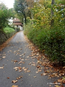 La petite route qui passe au-dessus de la promenade du Calvaire et qui rejoint la Roche d'Arma
